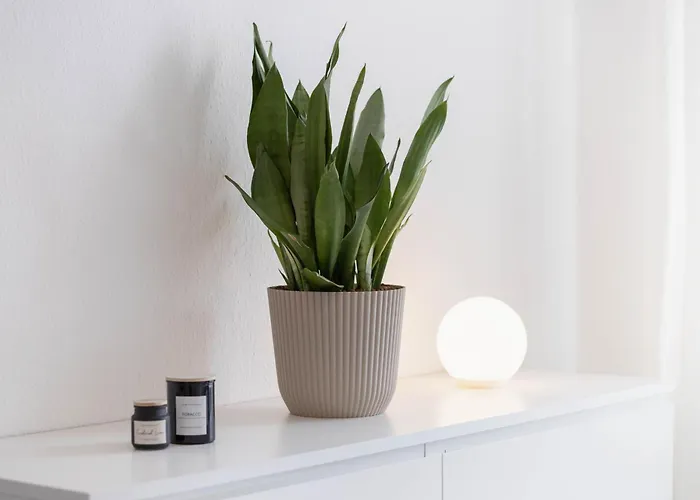 Ferientraum Friedi Am Bauhausmuseum Daire